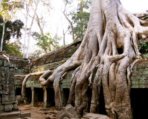 Vietnam Kamboçya Laos Turu 5