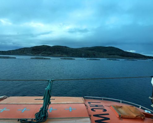 Hurtigruten 28