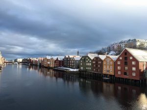 Hurtigruten 29