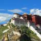 Tibet-turu