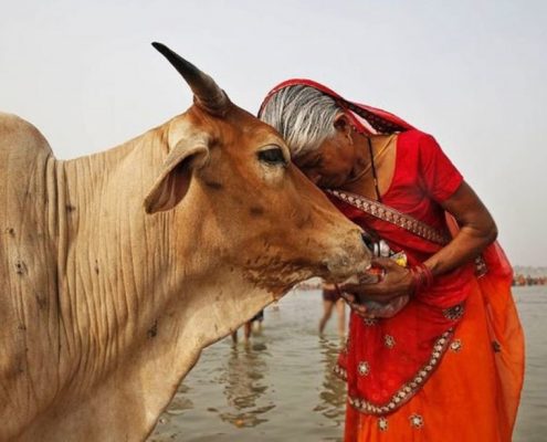 Holi festivali Hindistan turu 3