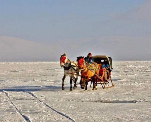 Kars Turu